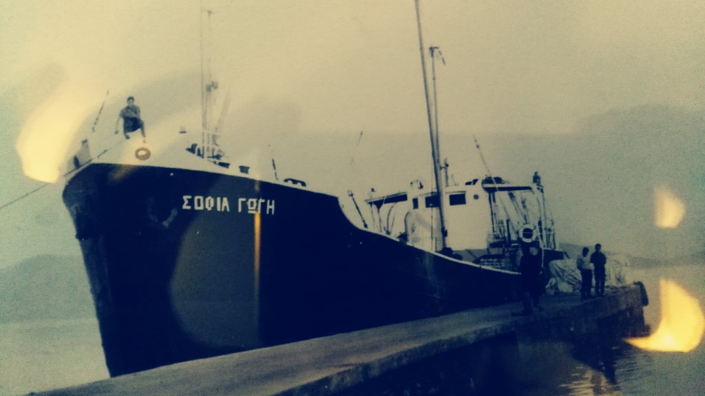 SOFIA GOGI IMO 5305962